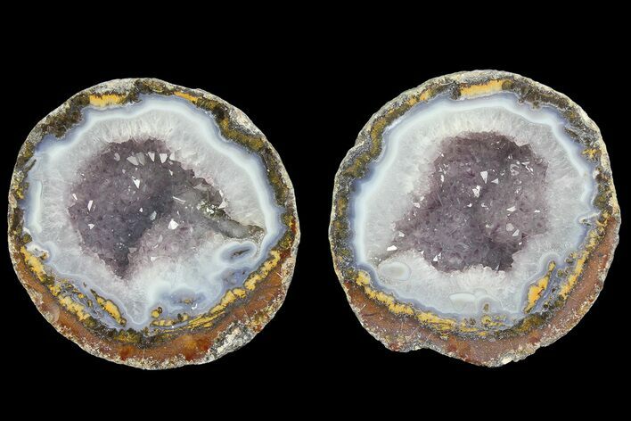 Las Choyas Coconut Geode with Amethyst & Calcite - Mexico #180576